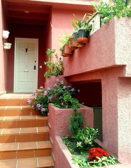 Beachfront House, Valencia, Wifi, Paddle Surf Board, Incredible Views Sueca Exterior photo
